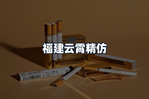 福建云霄精仿